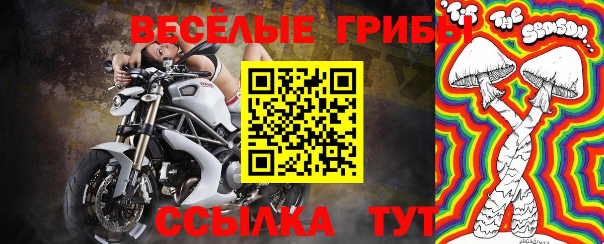 Псилоцибиновые грибы Psilocybe  Галлюциногенные грибы Psilocybine cubensis  Вход с VPN  Елабуга 