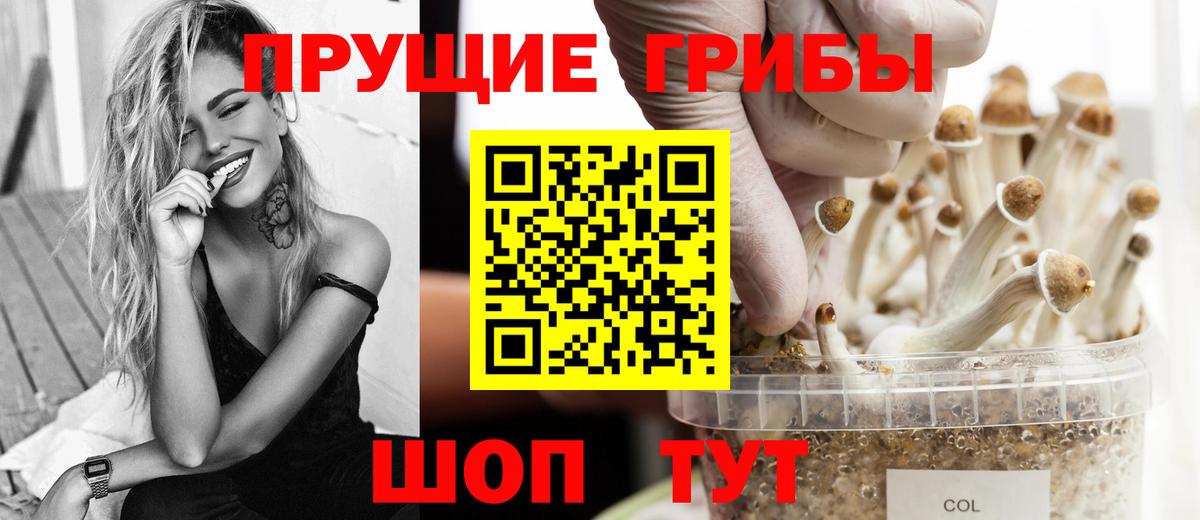 Галлюциногенные грибы мухоморы Елабуга